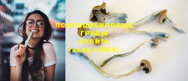 прущие грибы Вязьма