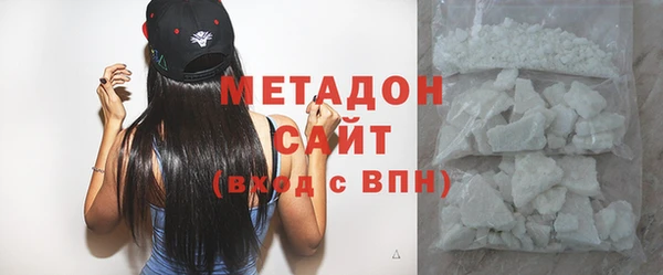 прущие грибы Вязьма