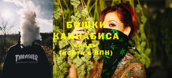 ПСИЛОЦИБИНОВЫЕ ГРИБЫ Вязники