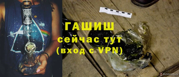 прущие грибы Вязьма