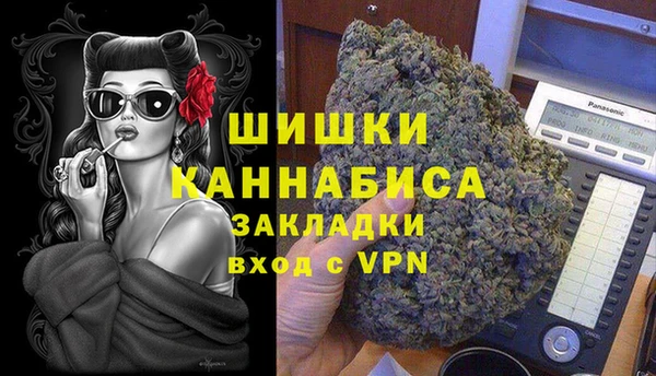 прущие грибы Вязьма