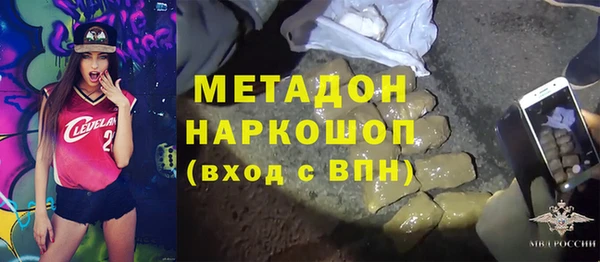 прущие грибы Вязьма